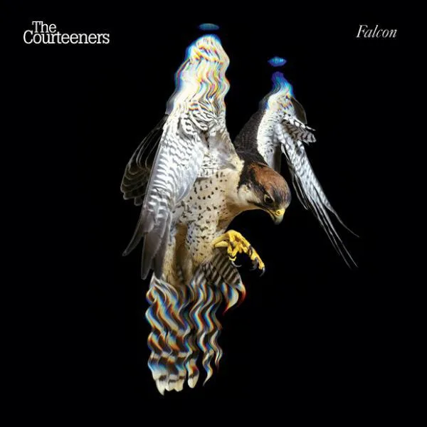 The Courteeners // Falcon