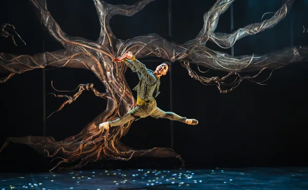 Northern Ballet - Merlin