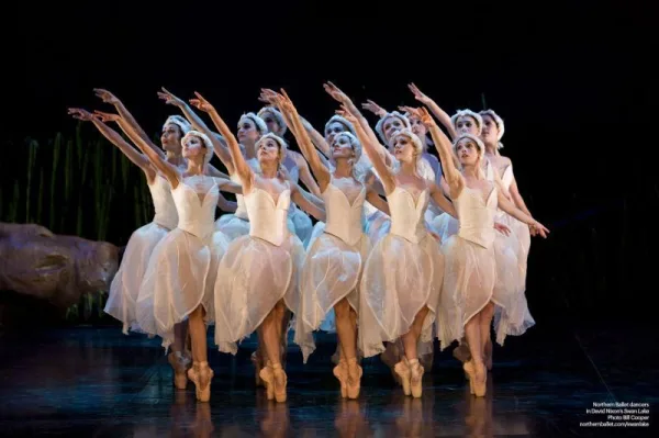 Swan Lake @ Theatre Royal