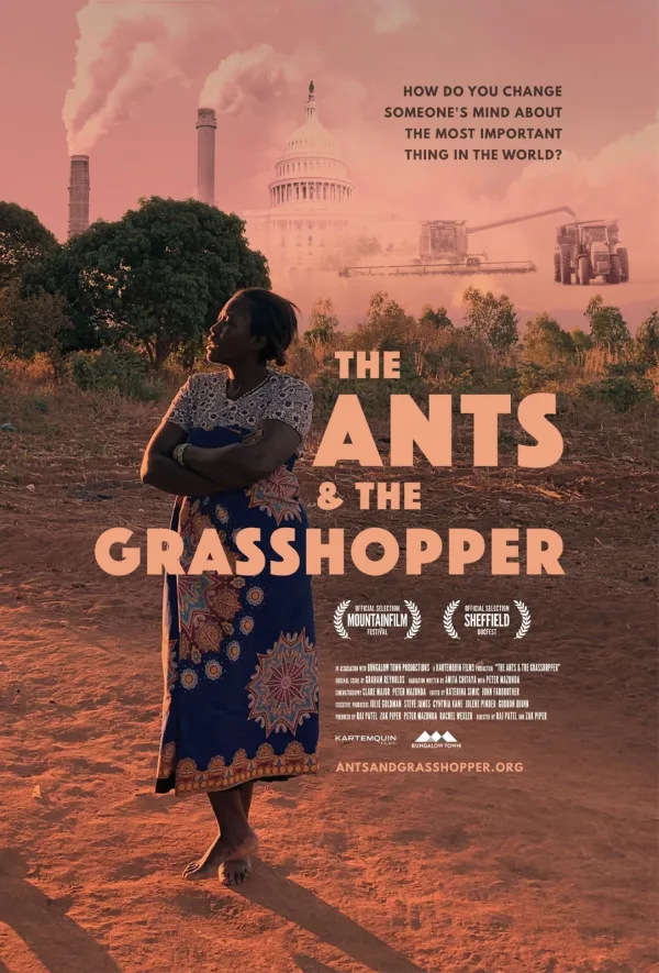 Film Preview - Ants and Grasshoppers