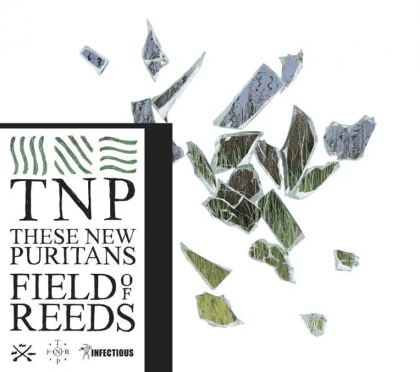 These New Puritans // Field Of Reeds