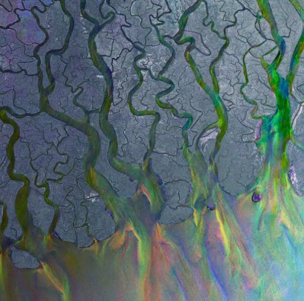 ALT-J // An Awesome Wave LP