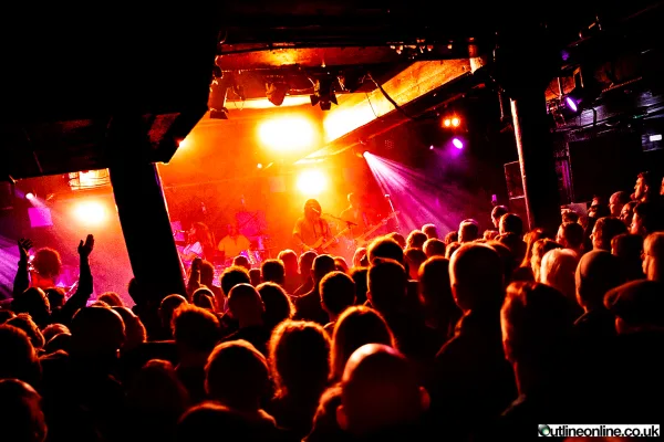 The Zutons