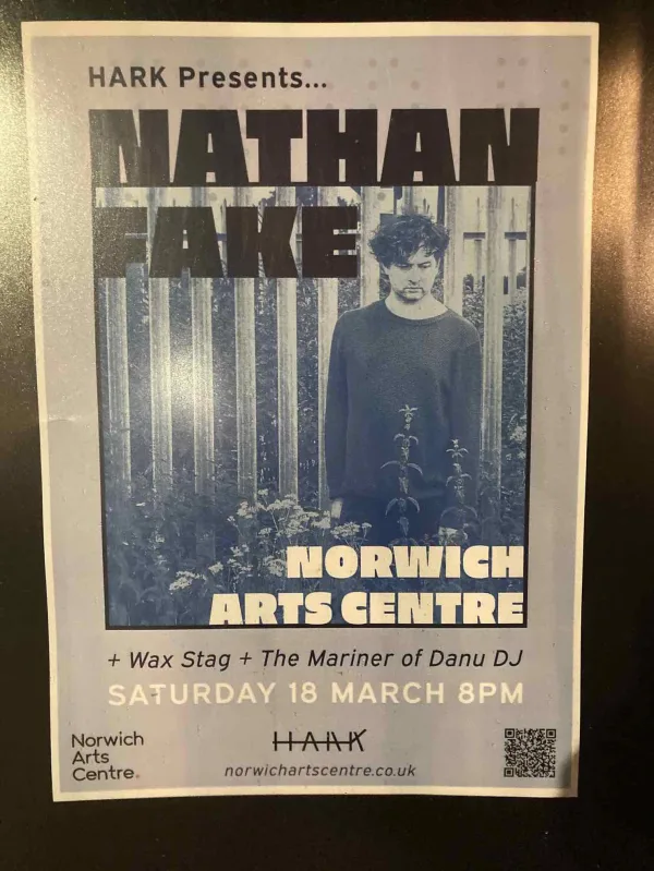 Nathan Fake - Wax Stag - The Mariner of Danu (DJ)