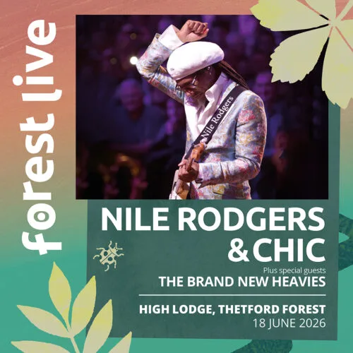 Nile Rodgers & CHIC- Forest Live