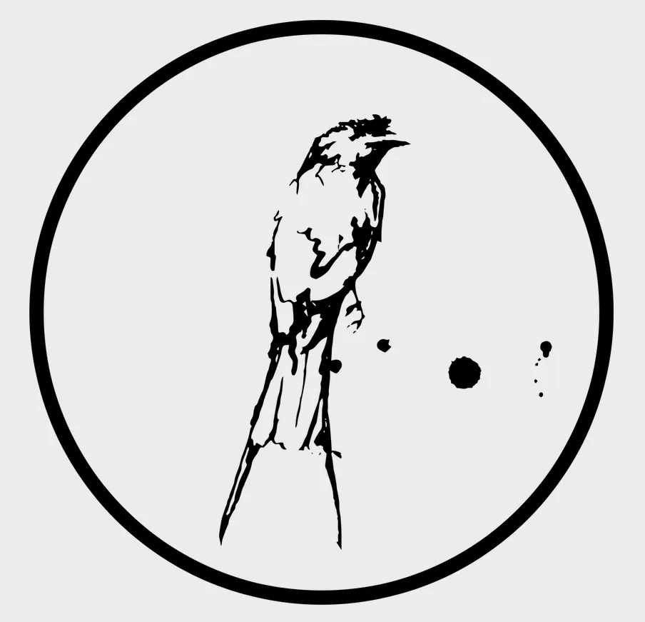 Drongo Records