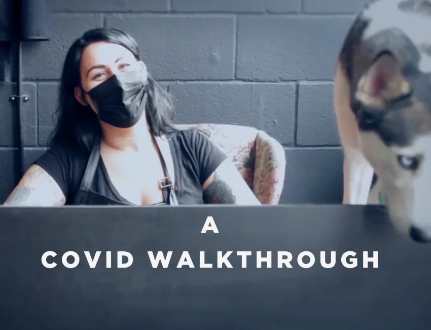 Wolf Pack Salon - Covid Walk Through