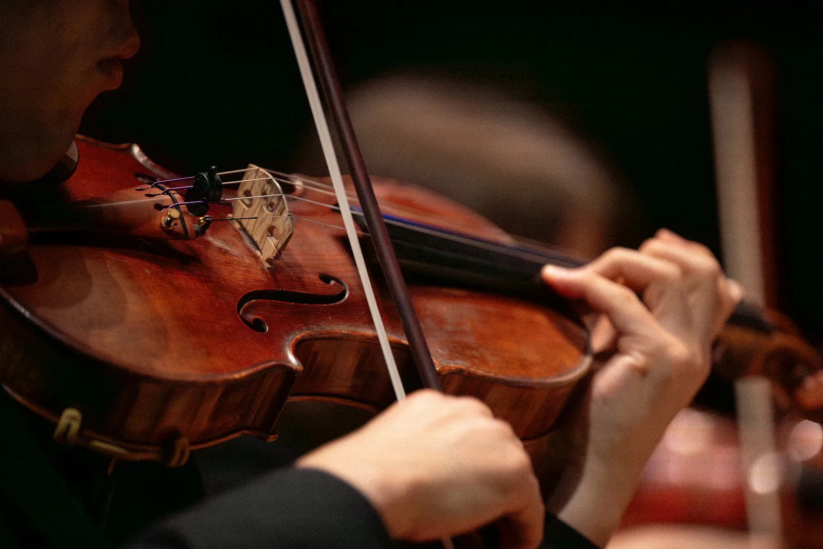 Goldberg Variations (Philharmonia Chamber Players)