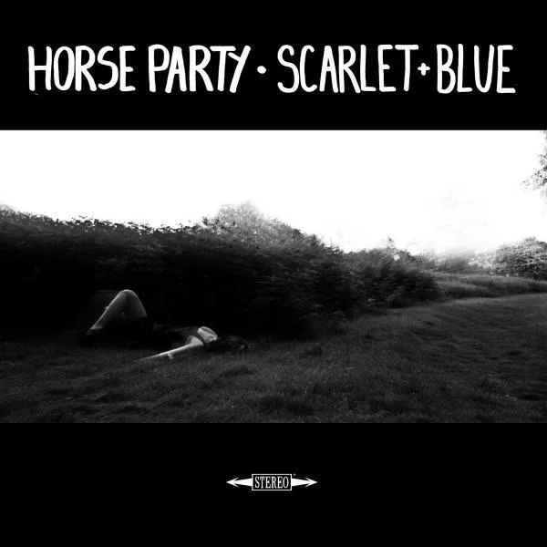Horse Party // Scarlet & Blue