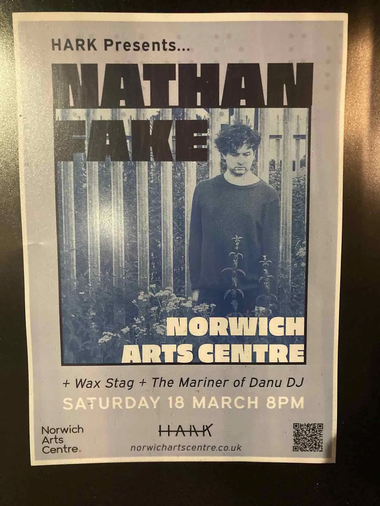 Nathan Fake - Wax Stag - The Mariner of Danu (DJ)